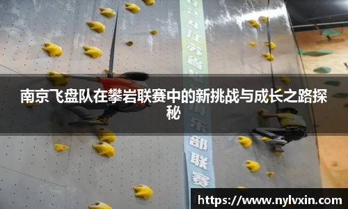 南京飞盘队在攀岩联赛中的新挑战与成长之路探秘